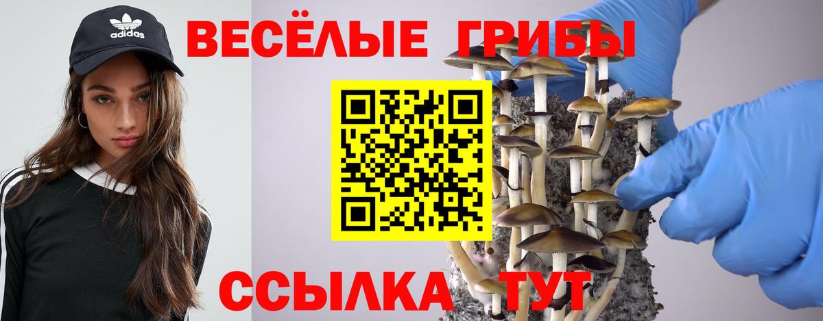 Галлюциногенные грибы мицелий Улан-Удэ
